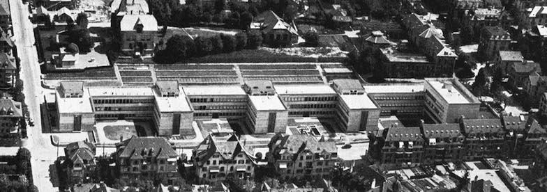Luftbild Muesmattfeld