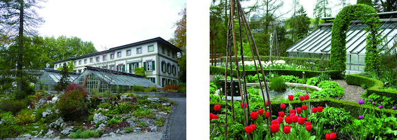 Hauptgebäude und Schaugarten