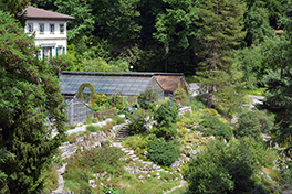 Botanischer Garten/Geländeübersicht mit Glashaus/Vogelperspektive