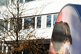 Tierspital/Aussenansicht/rundes Vogelschild