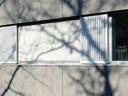 Tierspital/Aussenansicht/Fenster mit Schatten von Baum