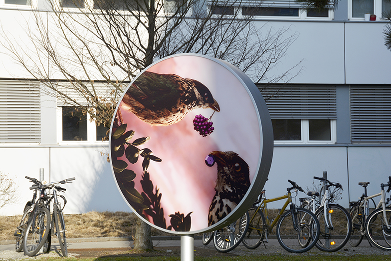 Tierspital/Aussenansicht/rundes Vogelschild