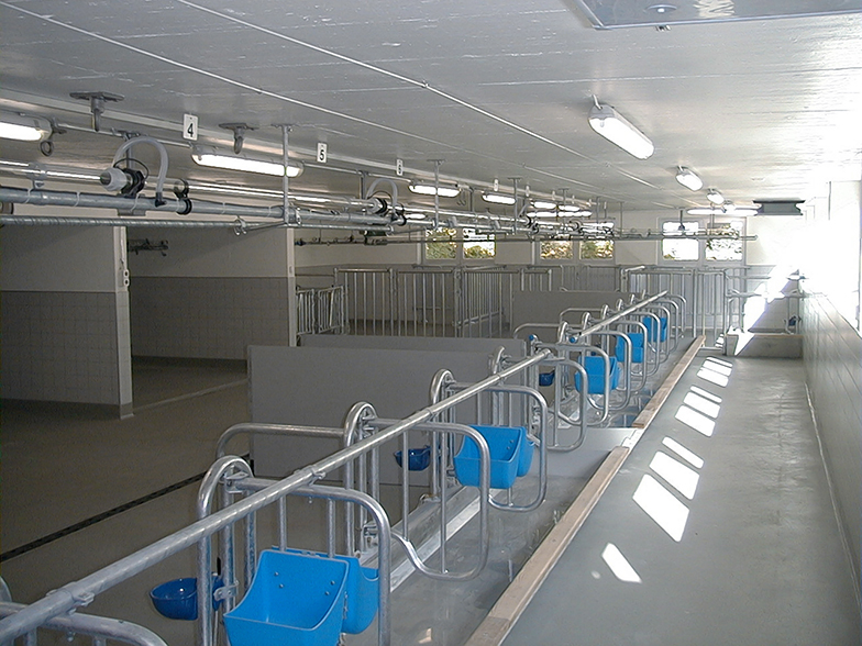 Tierspital/leerer Stall