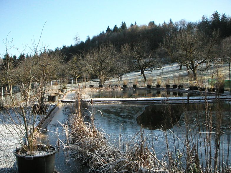 Ethnologische Station Oberhasli/See/Winter