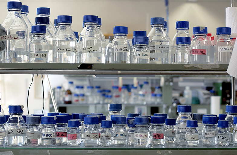 Forschung/Labor/Gläser/Regal