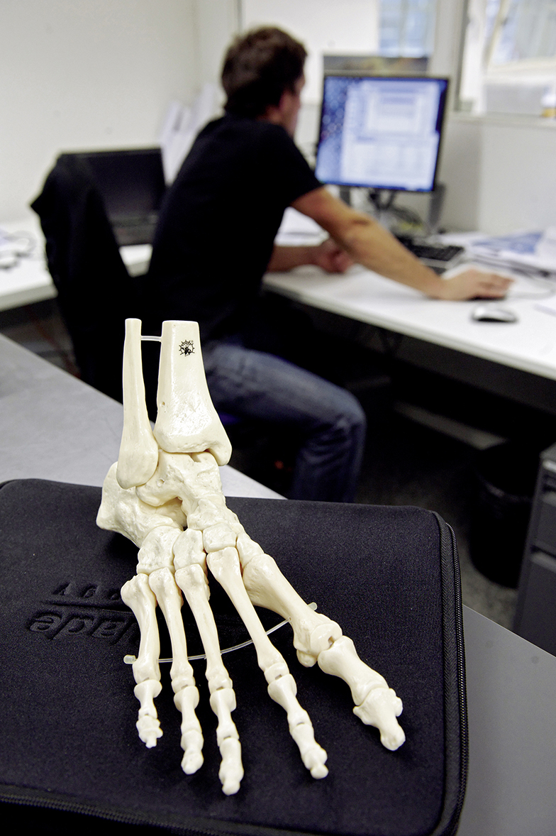 Forschung/Büro/Anatomie/Fuss/Knochen