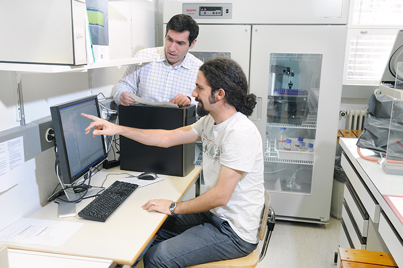 Forschung/Technik/Büro/Männer werten Daten an Bildschirm aus