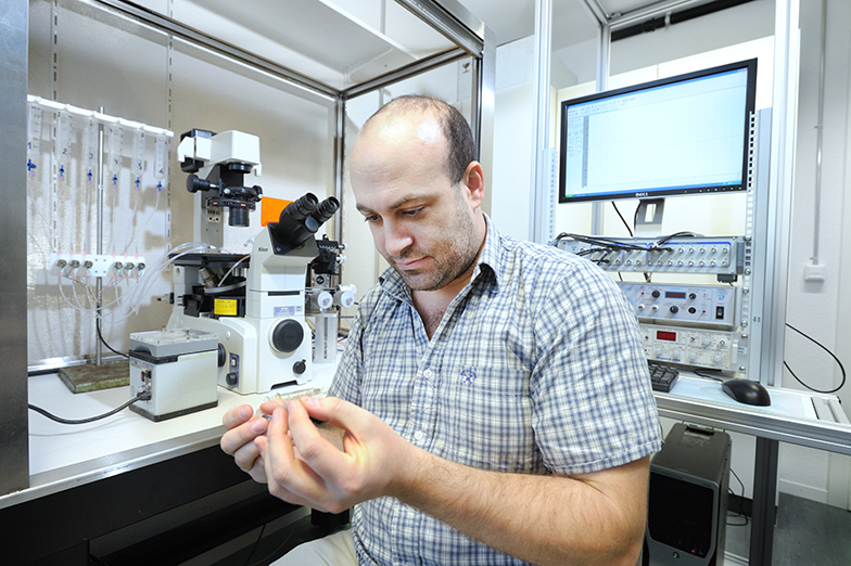 Forschung/Technik/Büro/Mann analysiert/Bilschirm