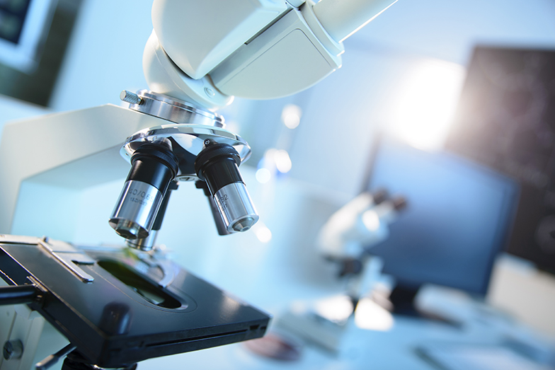 Forschung/Technik/Mikroskop