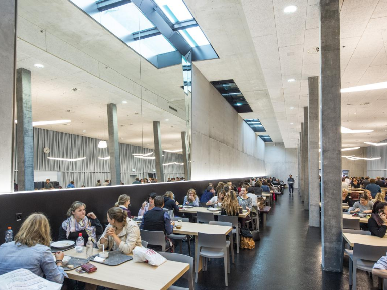 Students studying