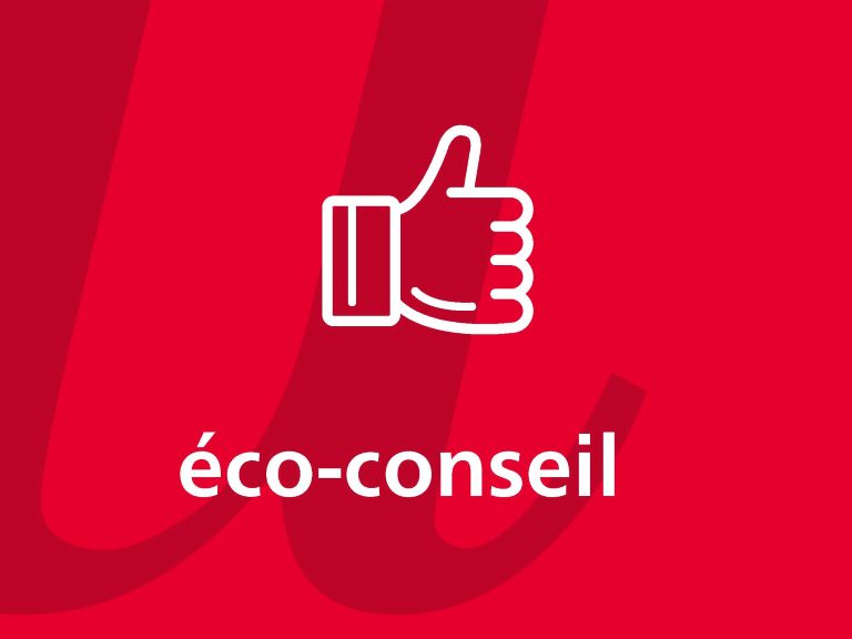 Éco-conseil 