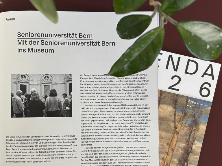 Beitrag KunstEinsicht