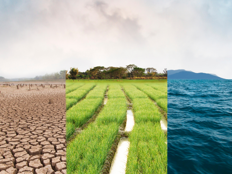 IPDET: Klimaschutz & Wirkung