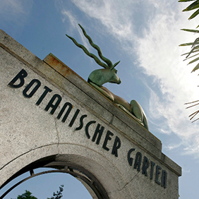 Culture et événements au jardin botanique