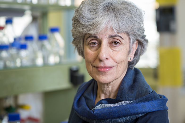 Prof. Dr. Isabel Roditi