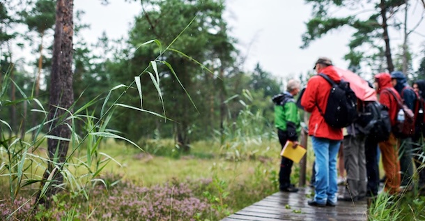 Forschende in der Natur