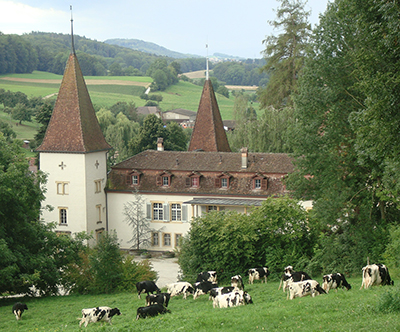 Bild Schloss Münchenwiler