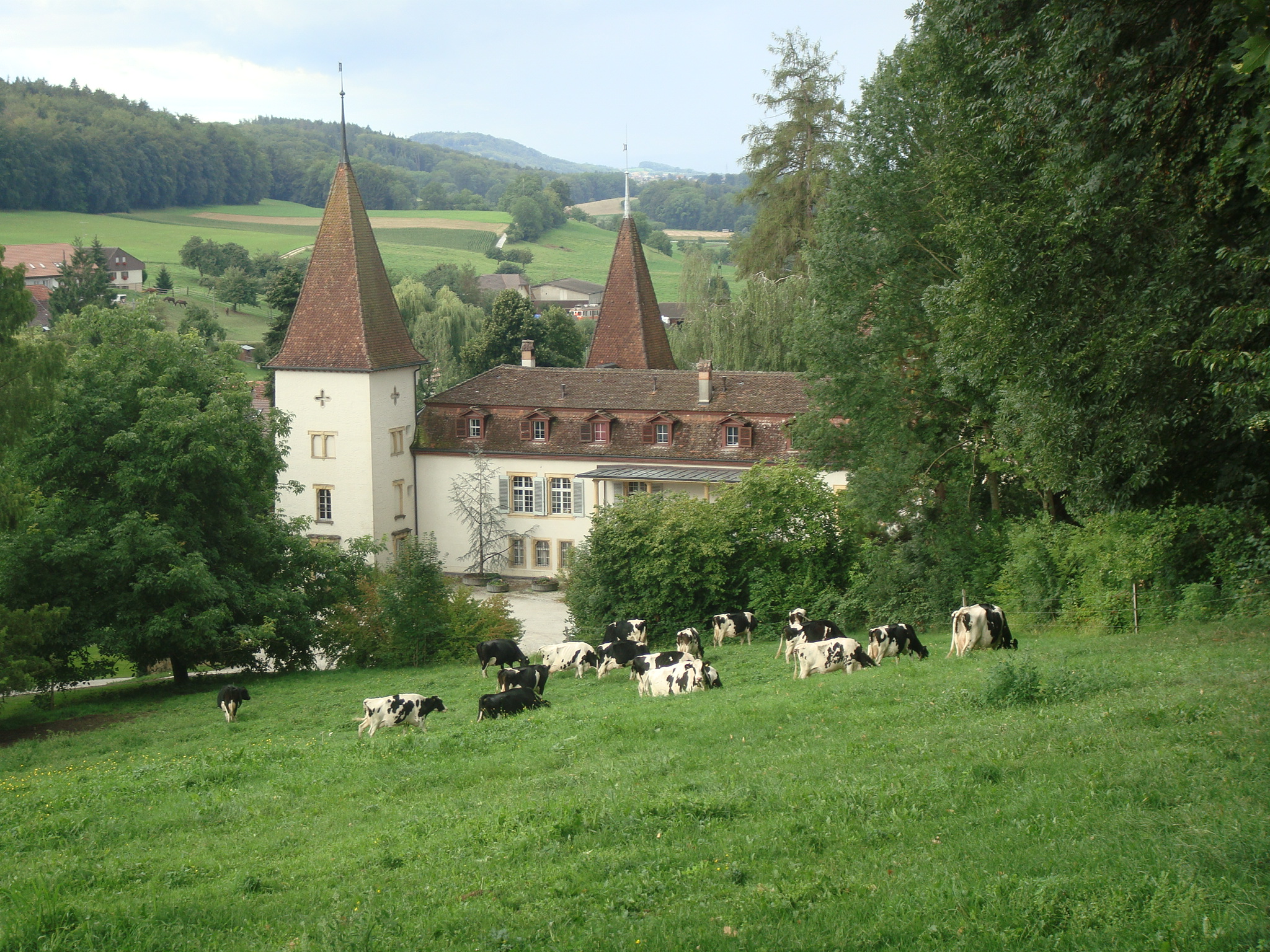 Bild vom Schloss Münchenwiler
