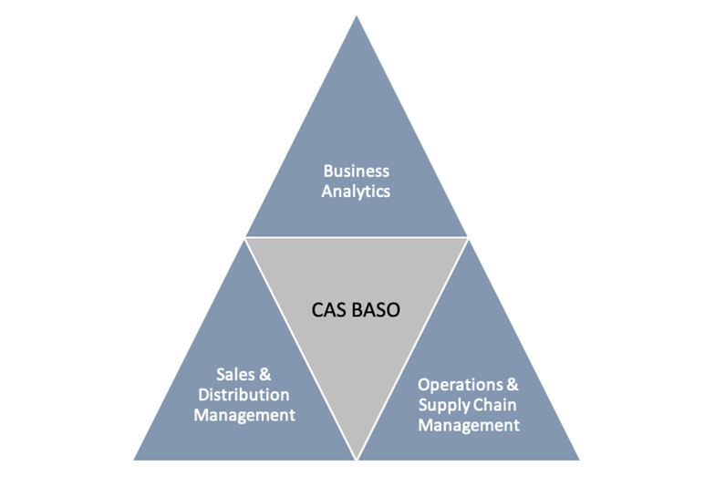 CAS General Management: Business Analytics, Sales and Operations