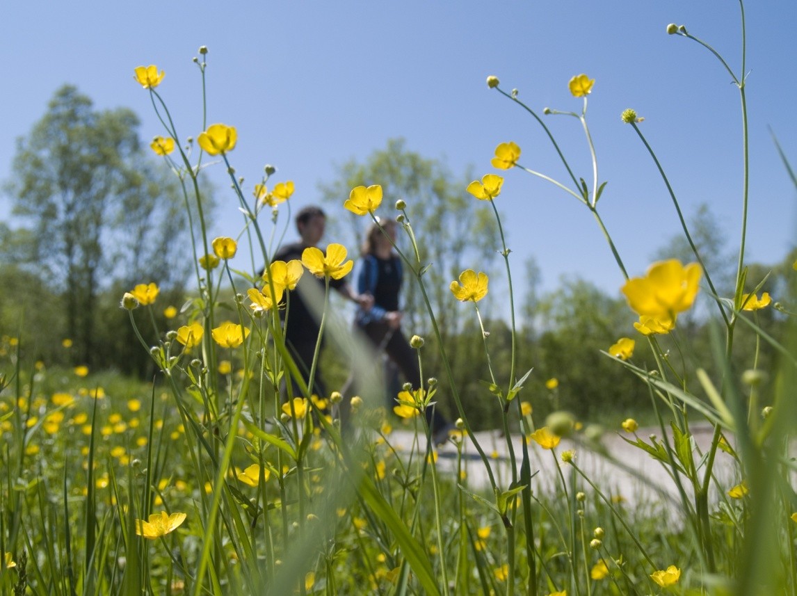 CAS Bewegungs- und Sporttherapie bei psychischen Erkrankungen