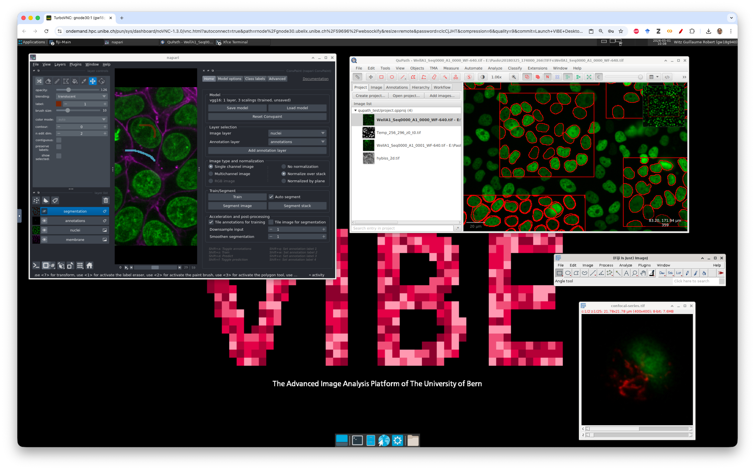 Titleimage: VIBE alt
