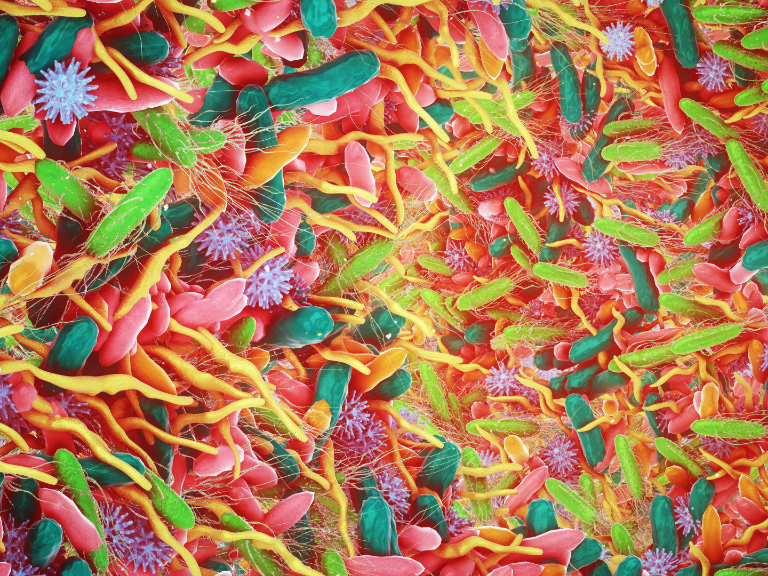 Faktencheck zum Mikrobiom