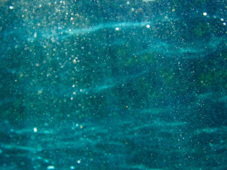 UNO-Ozeankonferenz 2025